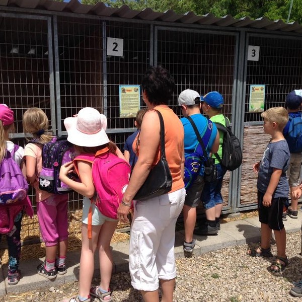 madárkert látogatás