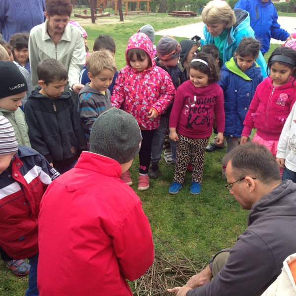fészeképítés ovisokkal