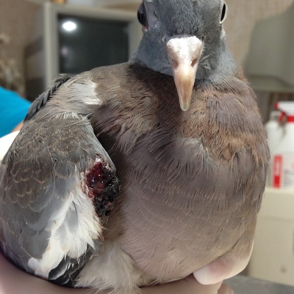 nekünk ő is fontos