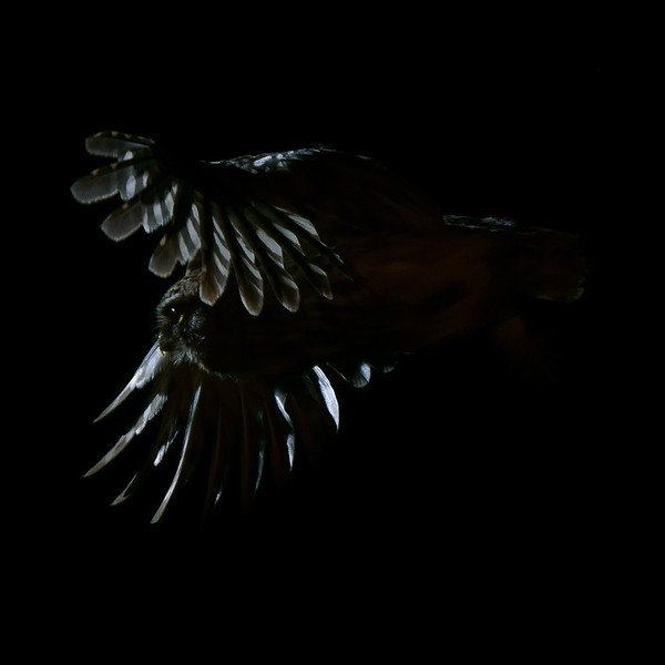 virtuális kiállítás - Kalmár Lajos Gábor fotói